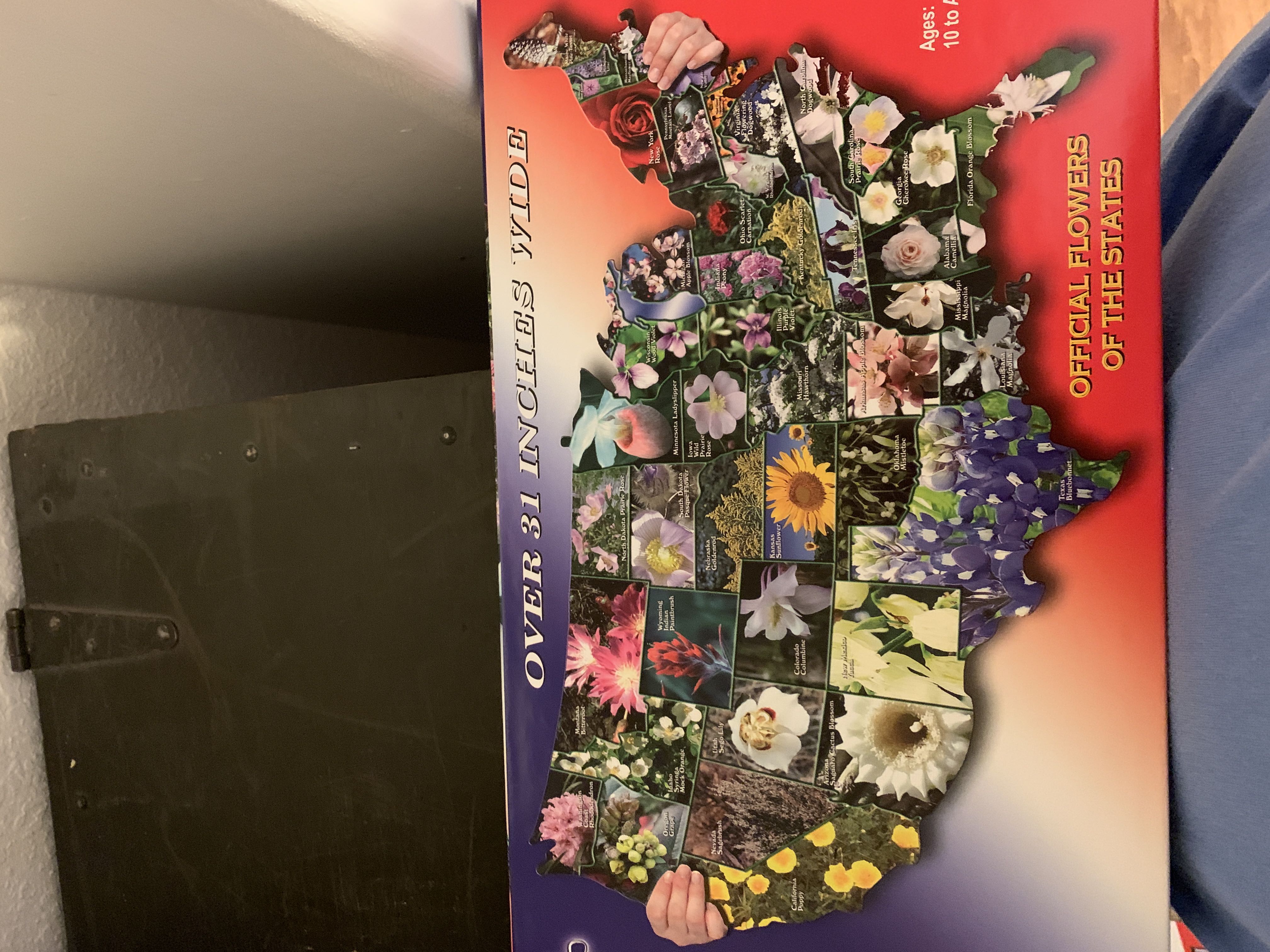 The Forbidden Basement