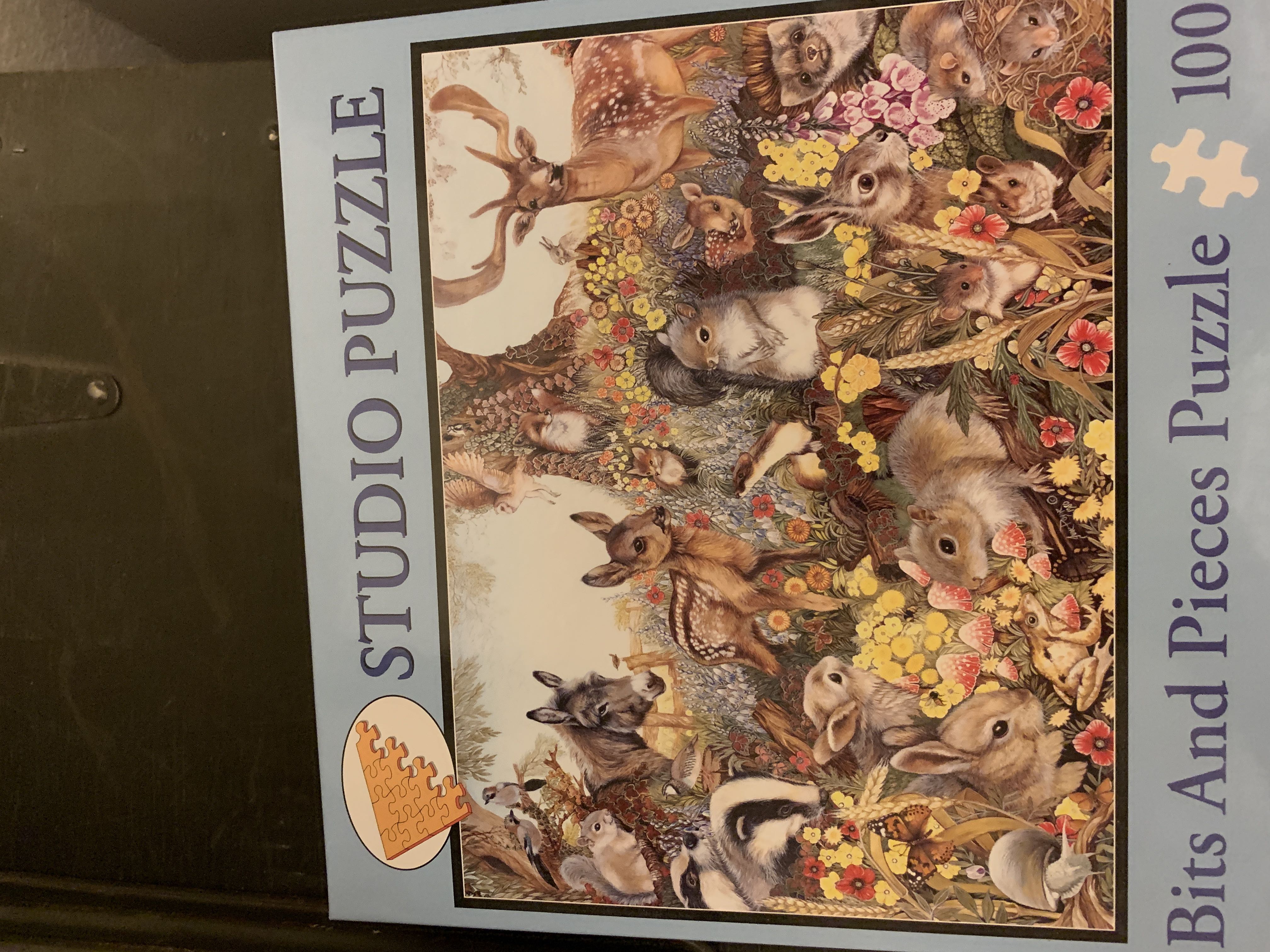 Safari Sundown 74137