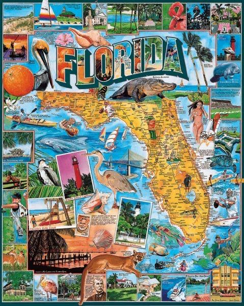 Florida  - White Mountain Puzzles puzzle collectible - Main Image 2