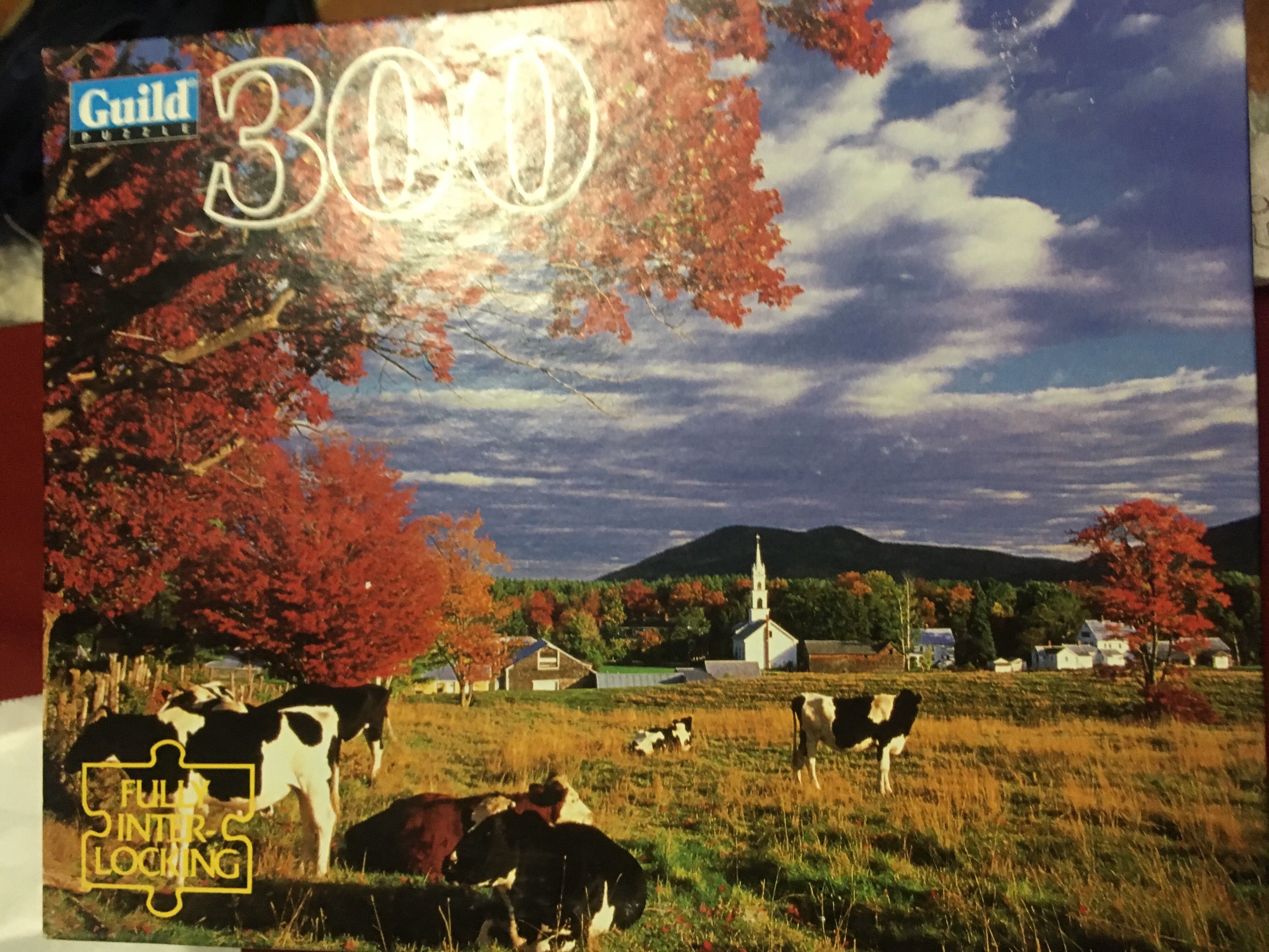 Gelini - Pizza, Pizza