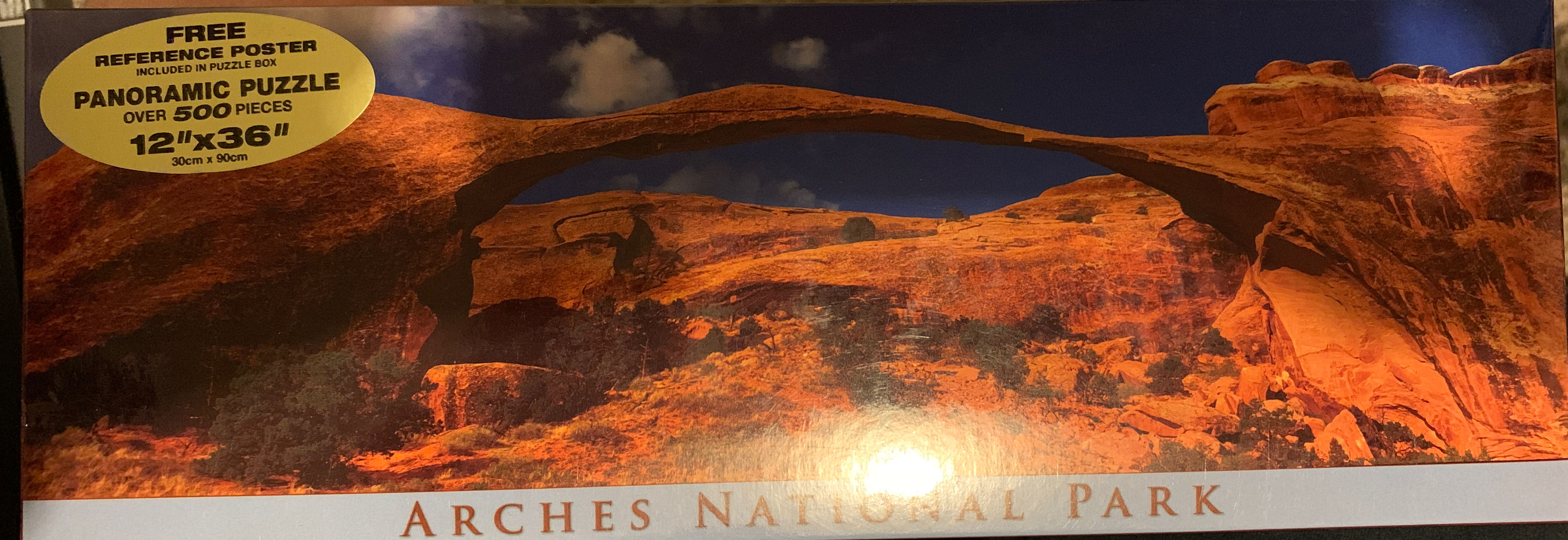 Thats Life - Bondi Beach