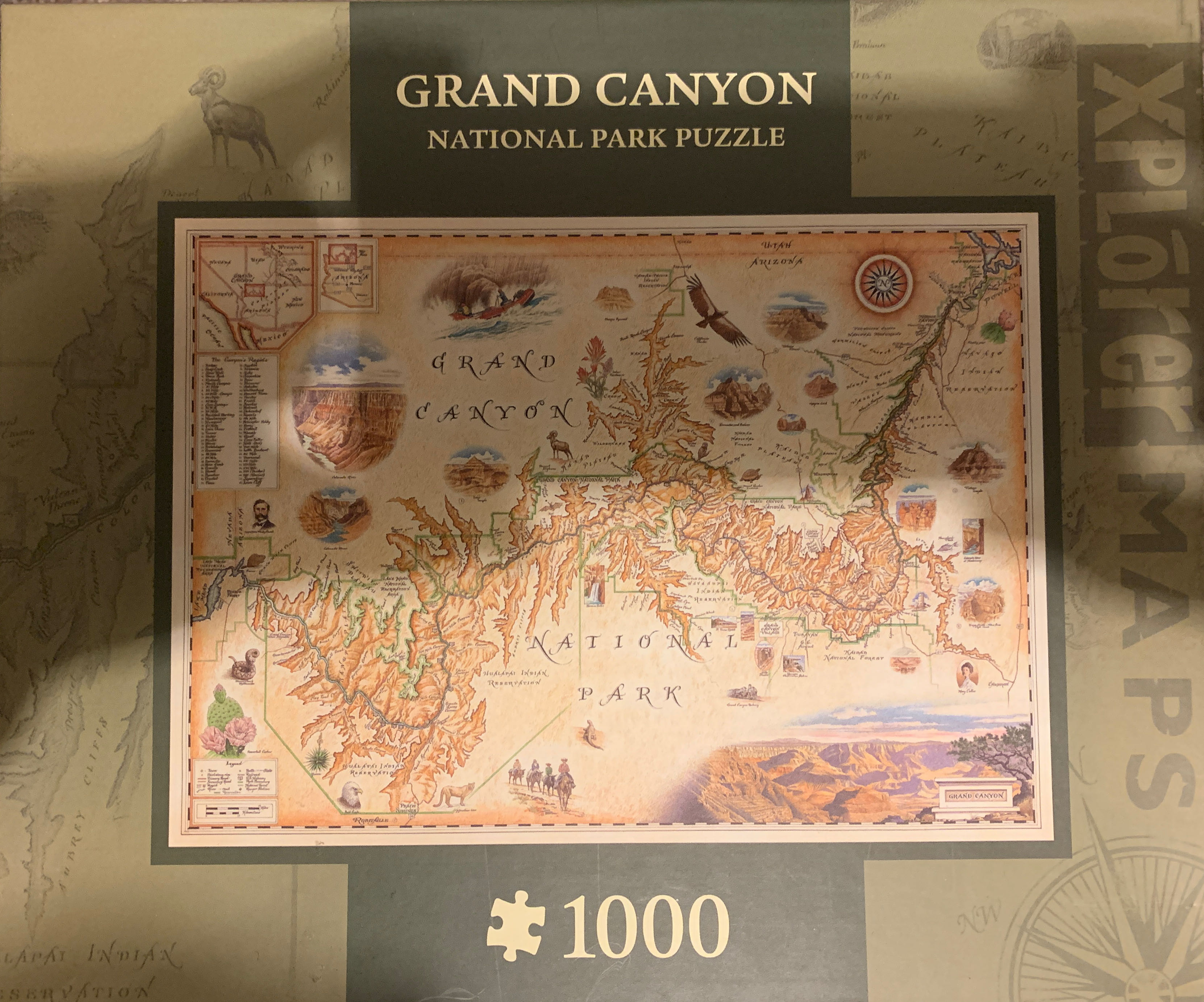 Beauty And The Beast