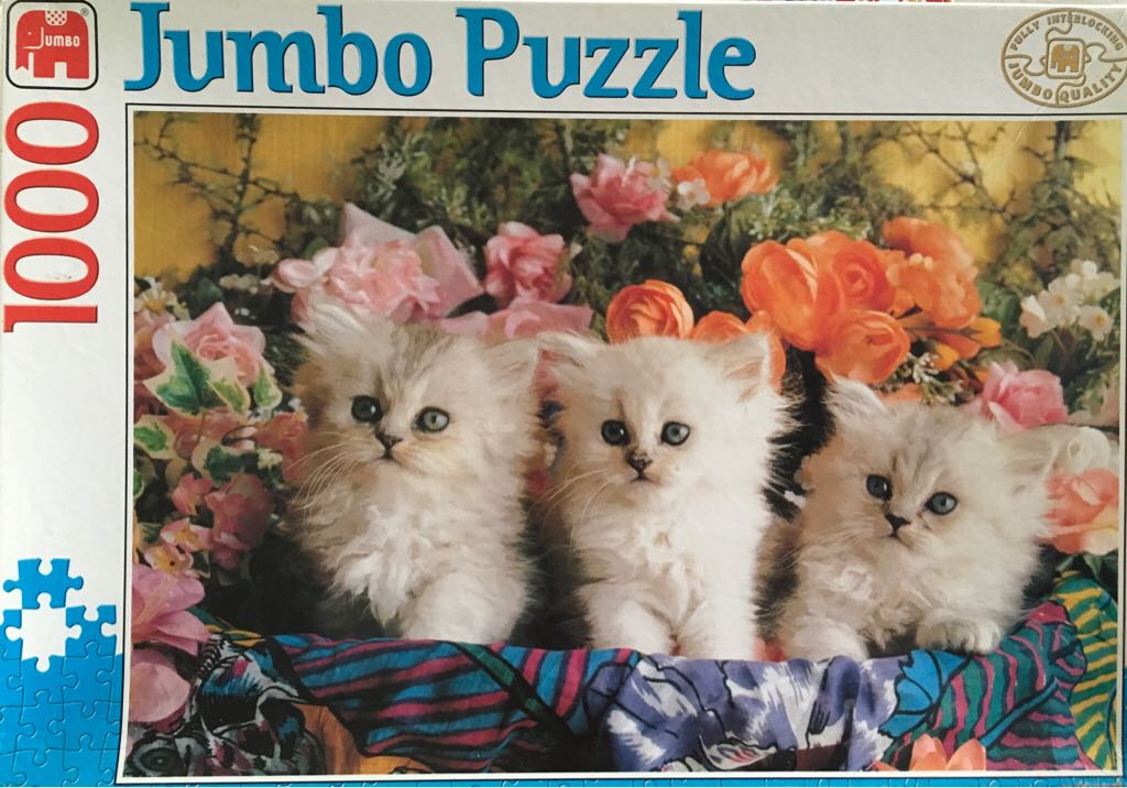 19093 Formule 1 De Start