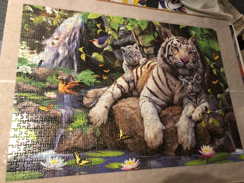 White Tigers Of Bengal 14808 - Educa puzzle collectible - Main Image 3