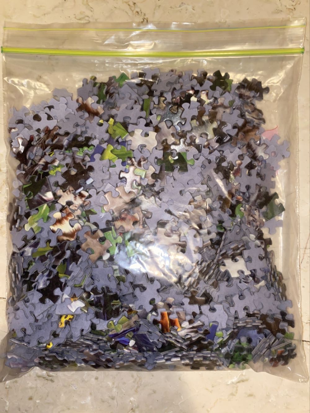 White Tigers Of Bengal 14808 - Educa puzzle collectible - Main Image 4