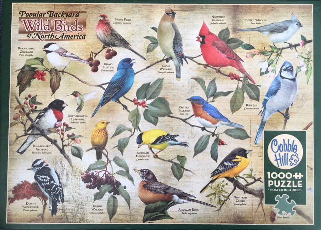 Popular Backyard Wild Birds Of North America 80024 - Cobble Hill puzzle collectible - Main Image 1