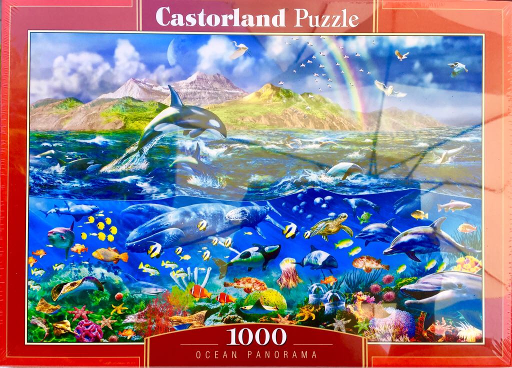 The Ohio State Buckeyes 🏈