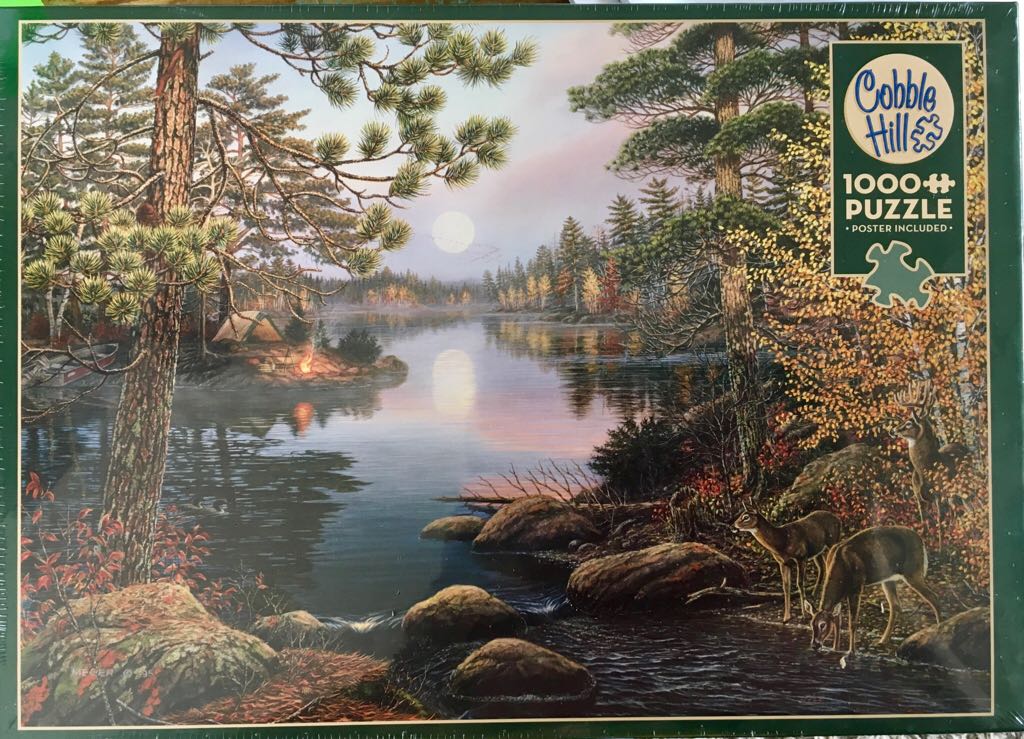 19013 De Ontsnapping