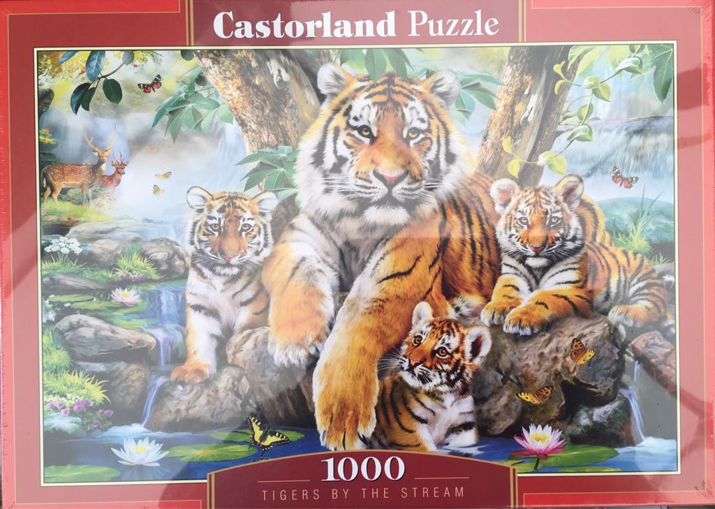 Tropical Impressions