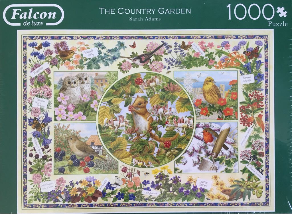 Let The Good Times Roll