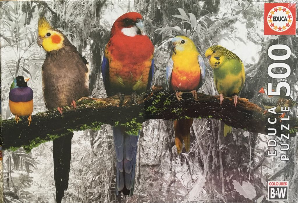 CW - New England Holiday Fun