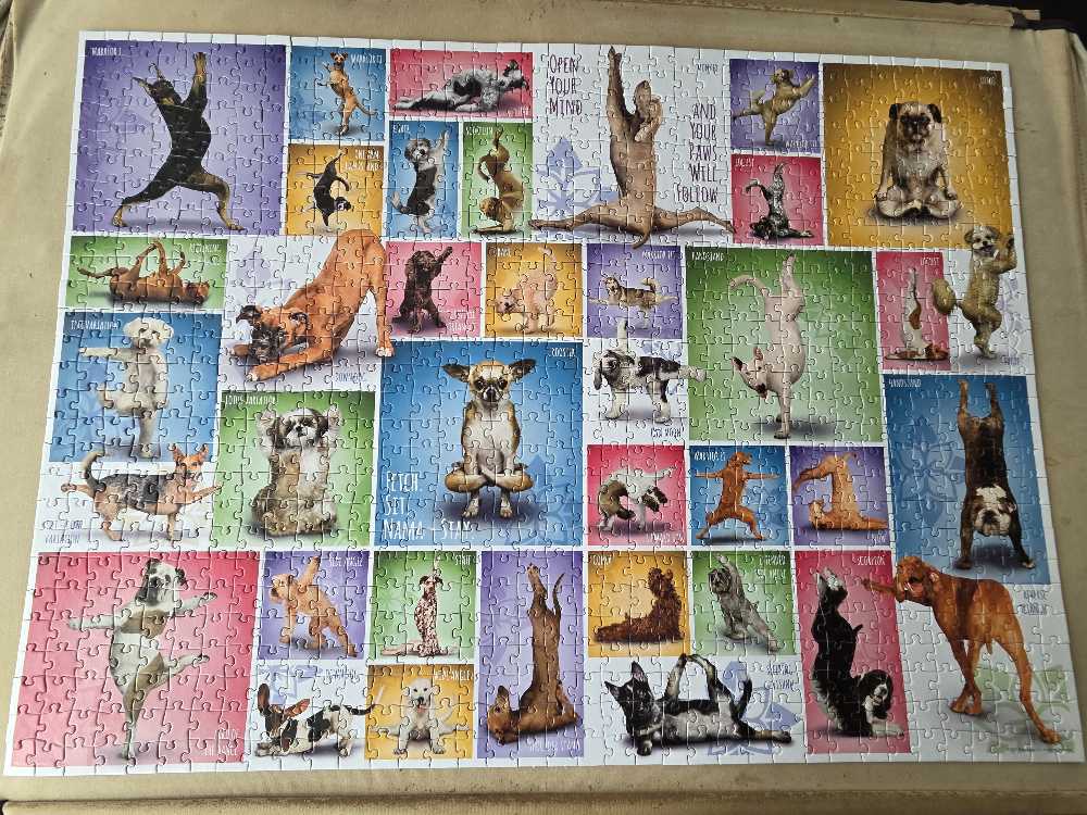 Yoga Dogs - EuroGraphics puzzle collectible [Barcode 628136609548] - Main Image 3