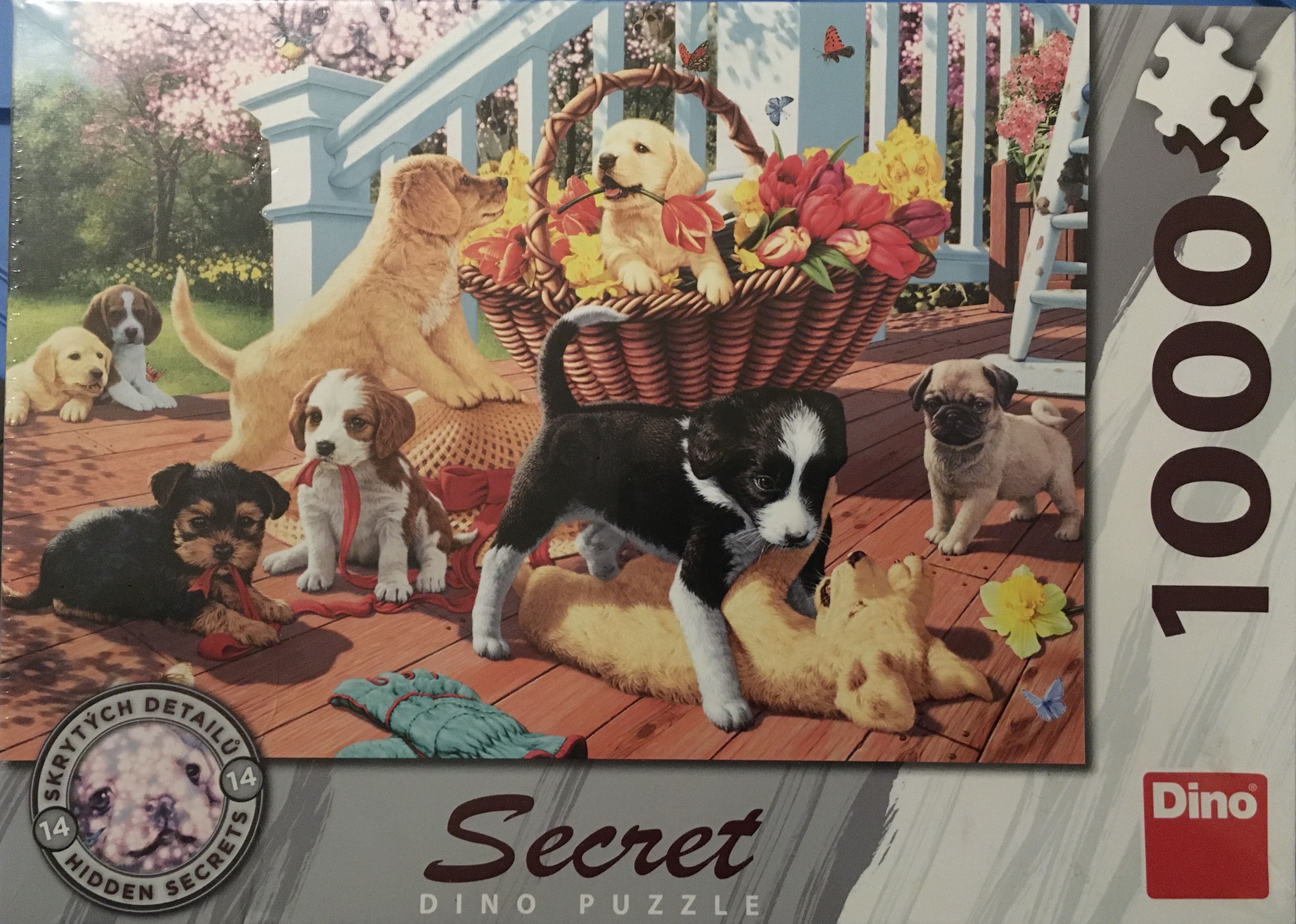 Winter Whoopsies 🟦???