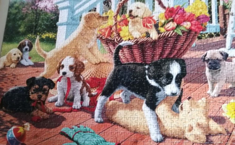 Secret Puppies - Dino Puzzle puzzle collectible [Barcode 8590878532557] - Main Image 3