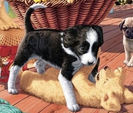 Secret Puppies - Dino Puzzle puzzle collectible [Barcode 8590878532557] - Main Image 4