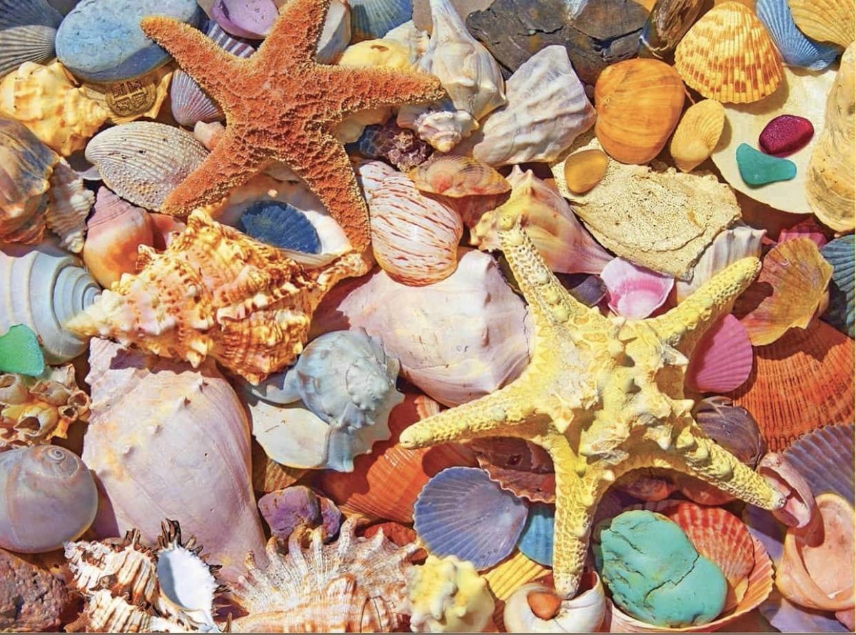 Beach Shells - White Mountain Puzzles puzzle collectible - Main Image 2