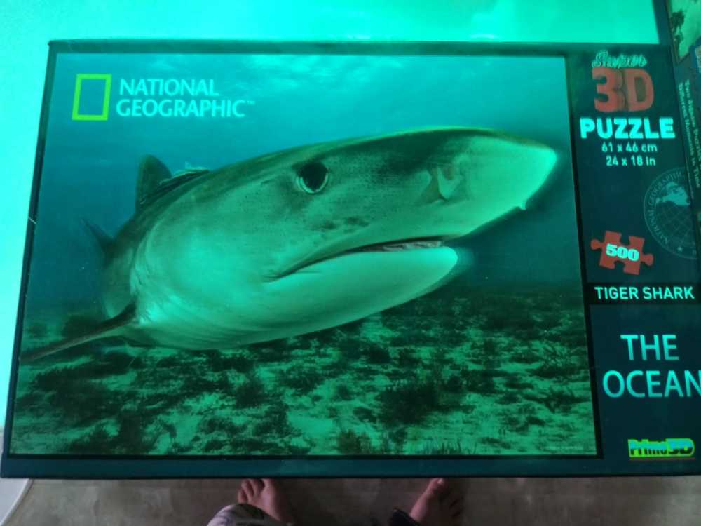 World Travel (V) 🧩