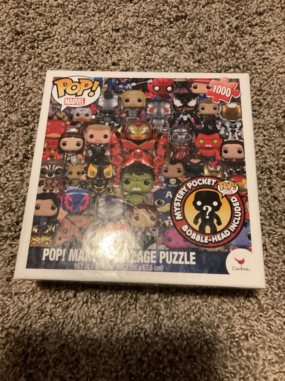 Wacky World - Gymnasium