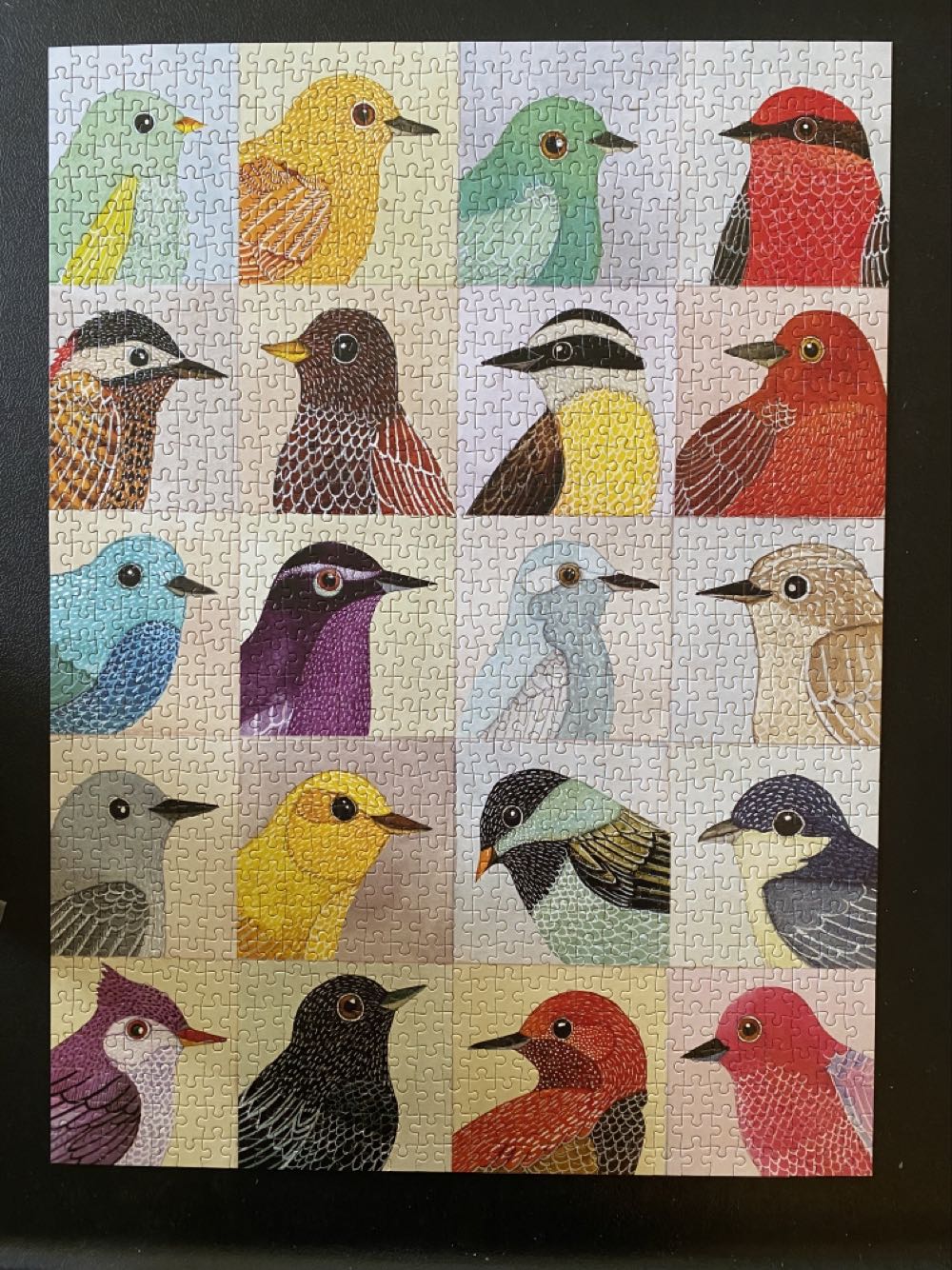 Avian Friends - Galison puzzle collectible [Barcode 9780735333413] - Main Image 2