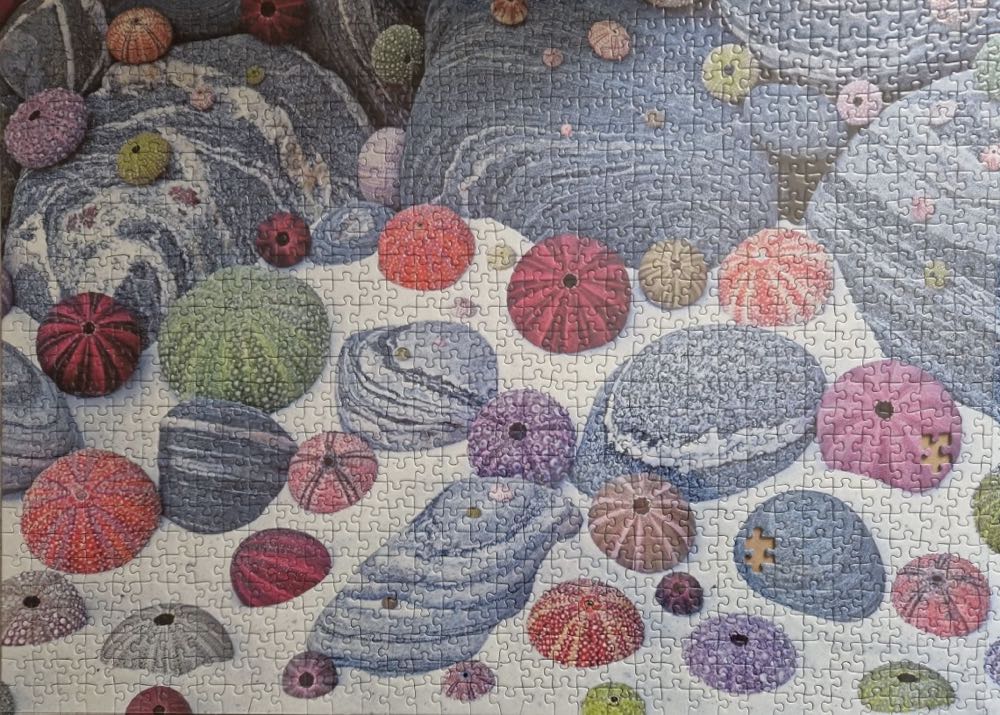 Colourful Seashells - Ravensburger puzzle collectible [Barcode 4005556190454] - Main Image 3