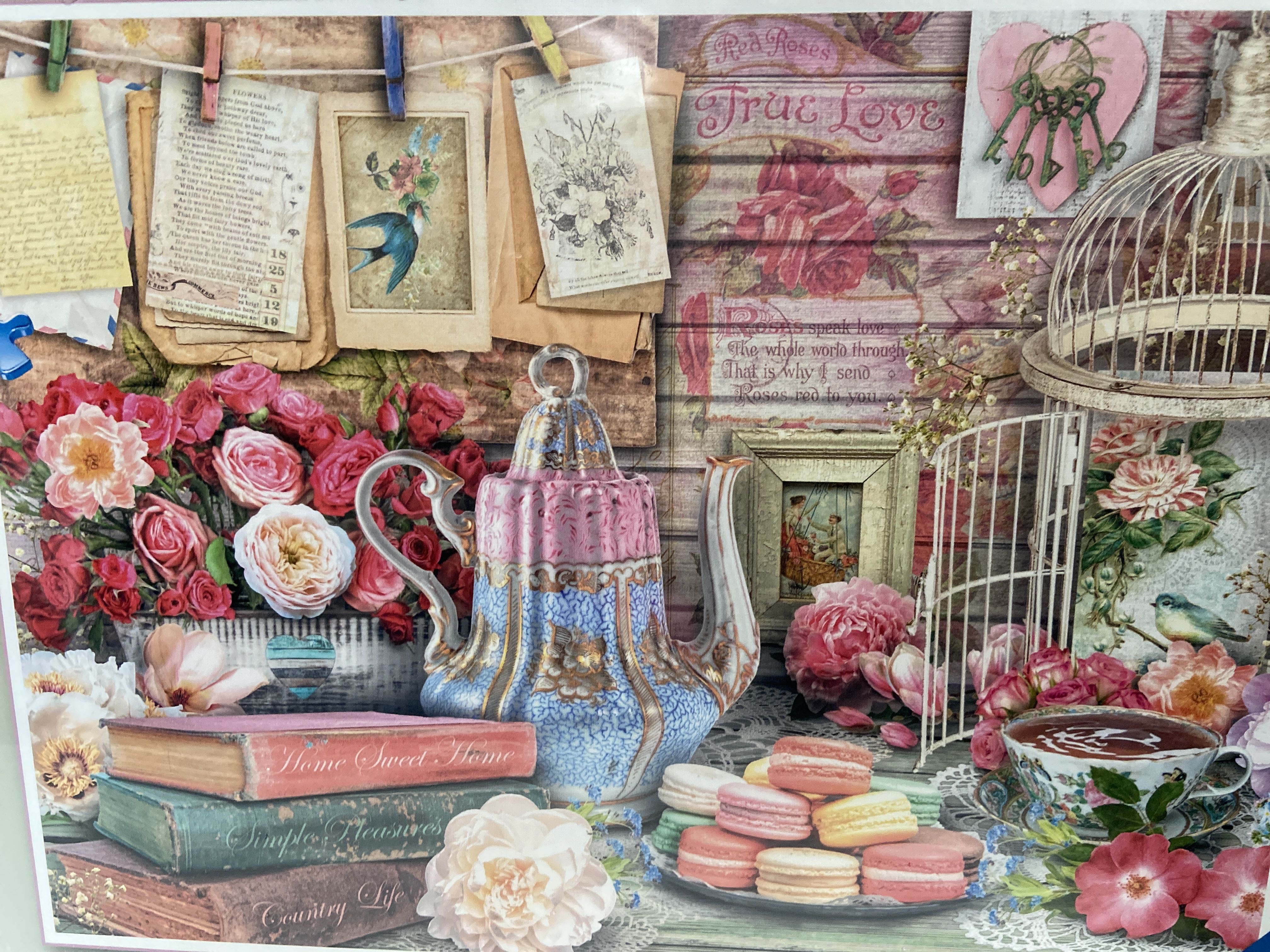 Enchanted Fairy Tale Library