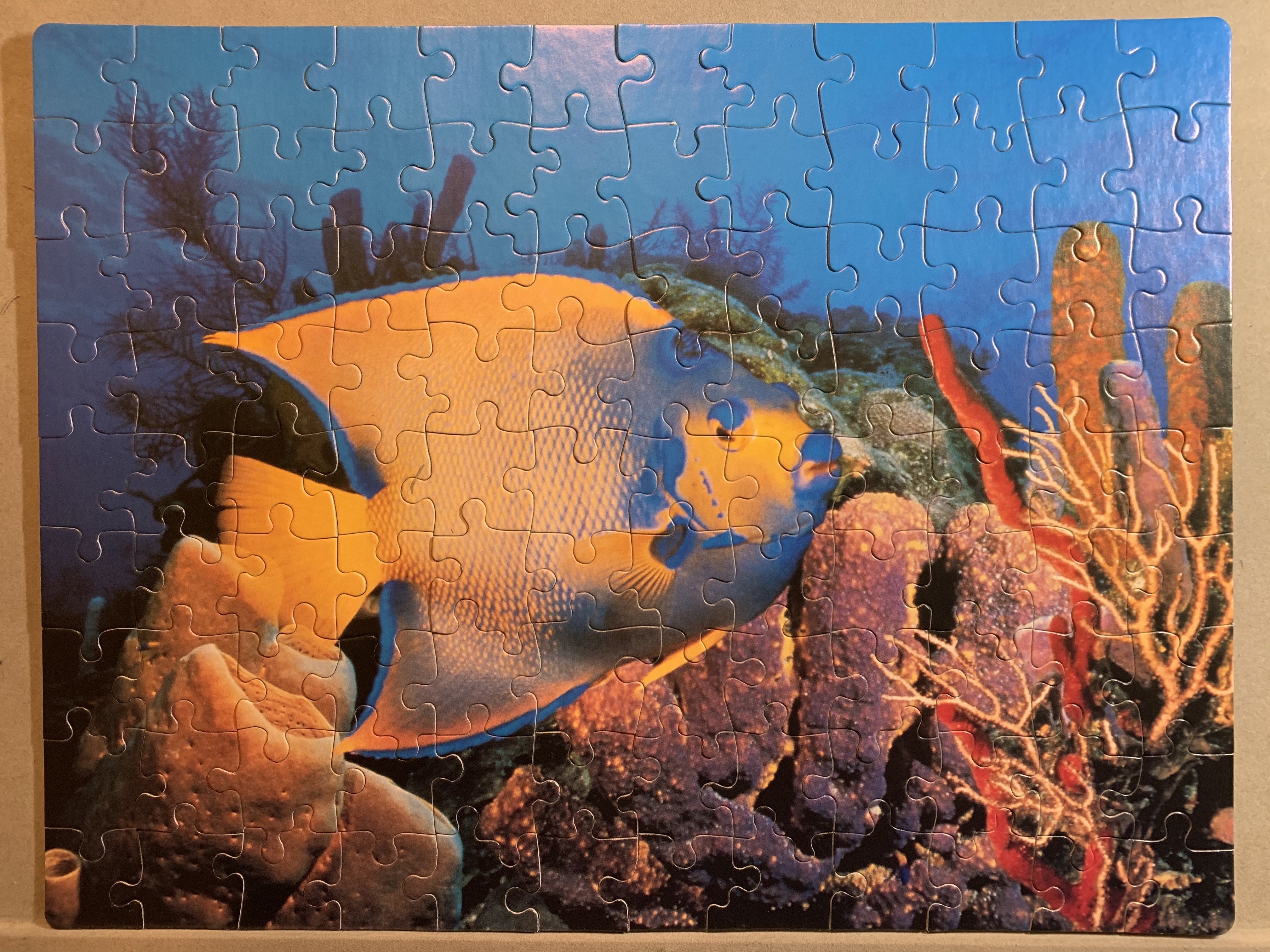 Angelfish - Golden Books/Merrigold Press puzzle collectible [Barcode 033500503818] - Main Image 2