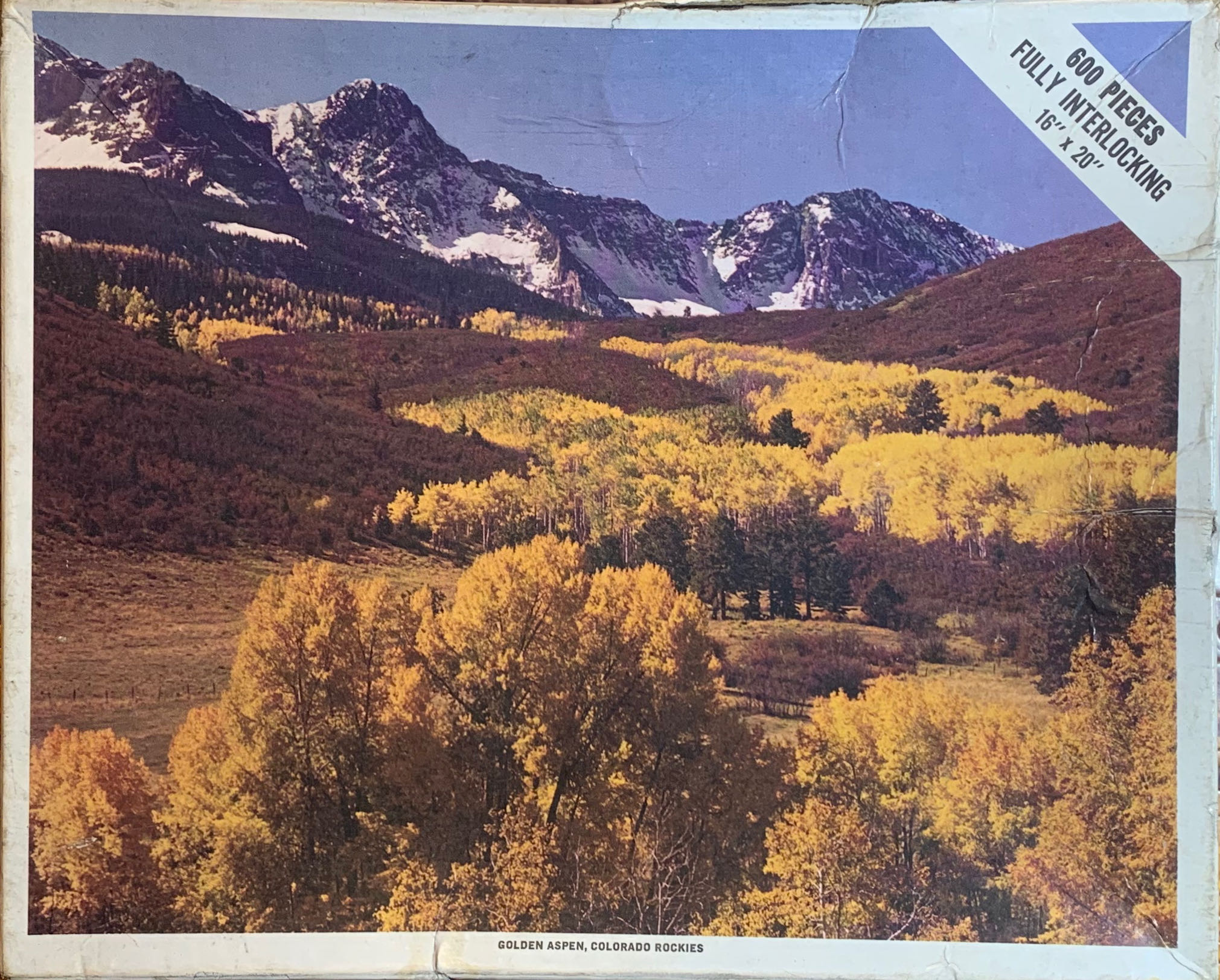 Aristodogs Bull Mastiff