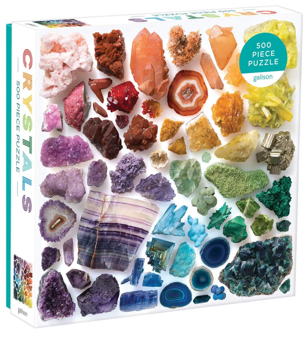 The Old Bookshop Cats