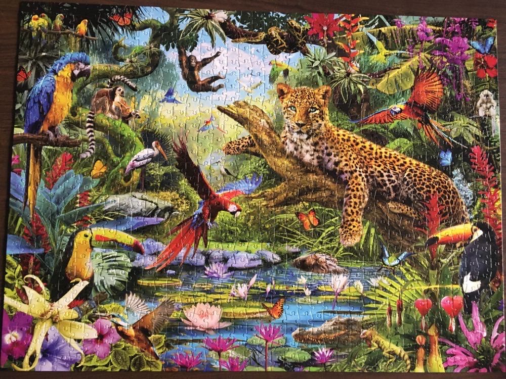 Leopard Jungle - Buffalo puzzle collectible [Barcode 689196509216] - Main Image 2