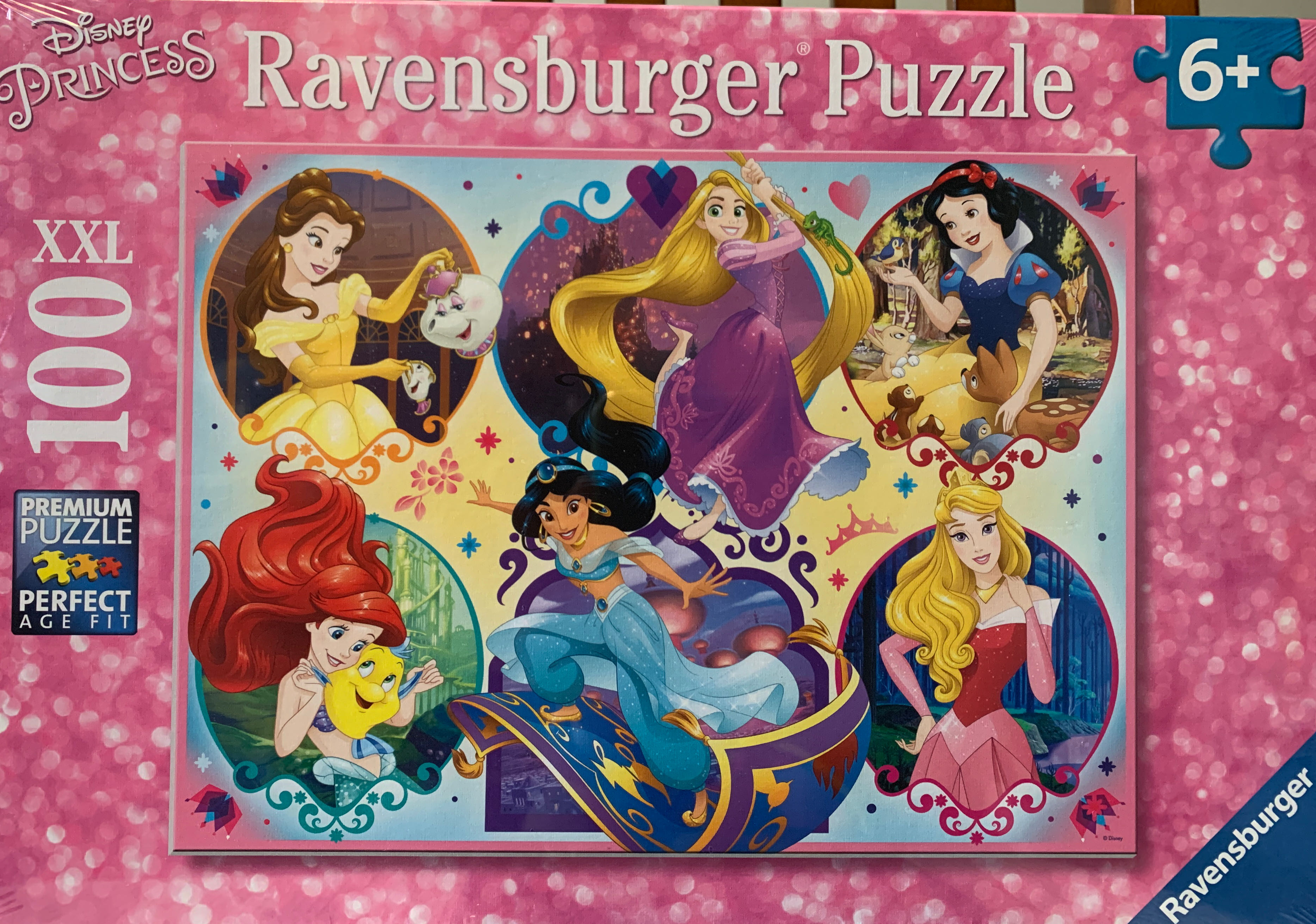 Minnesota Wild Panoramic