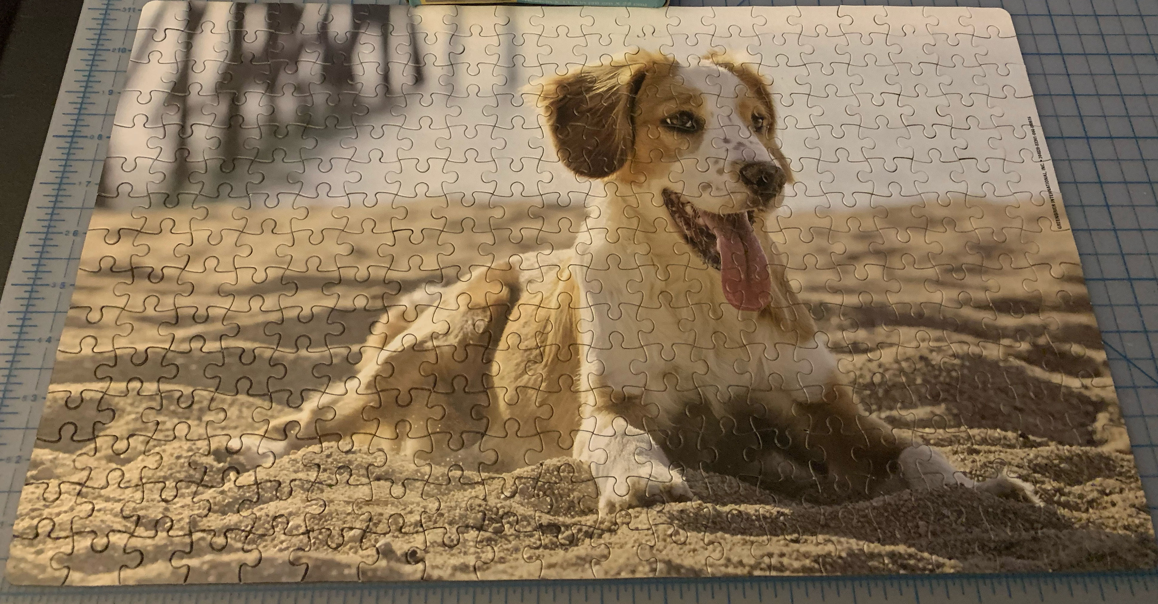 Dog On Beach - Greenbrier puzzle collectible [Barcode 639277309372] - Main Image 3