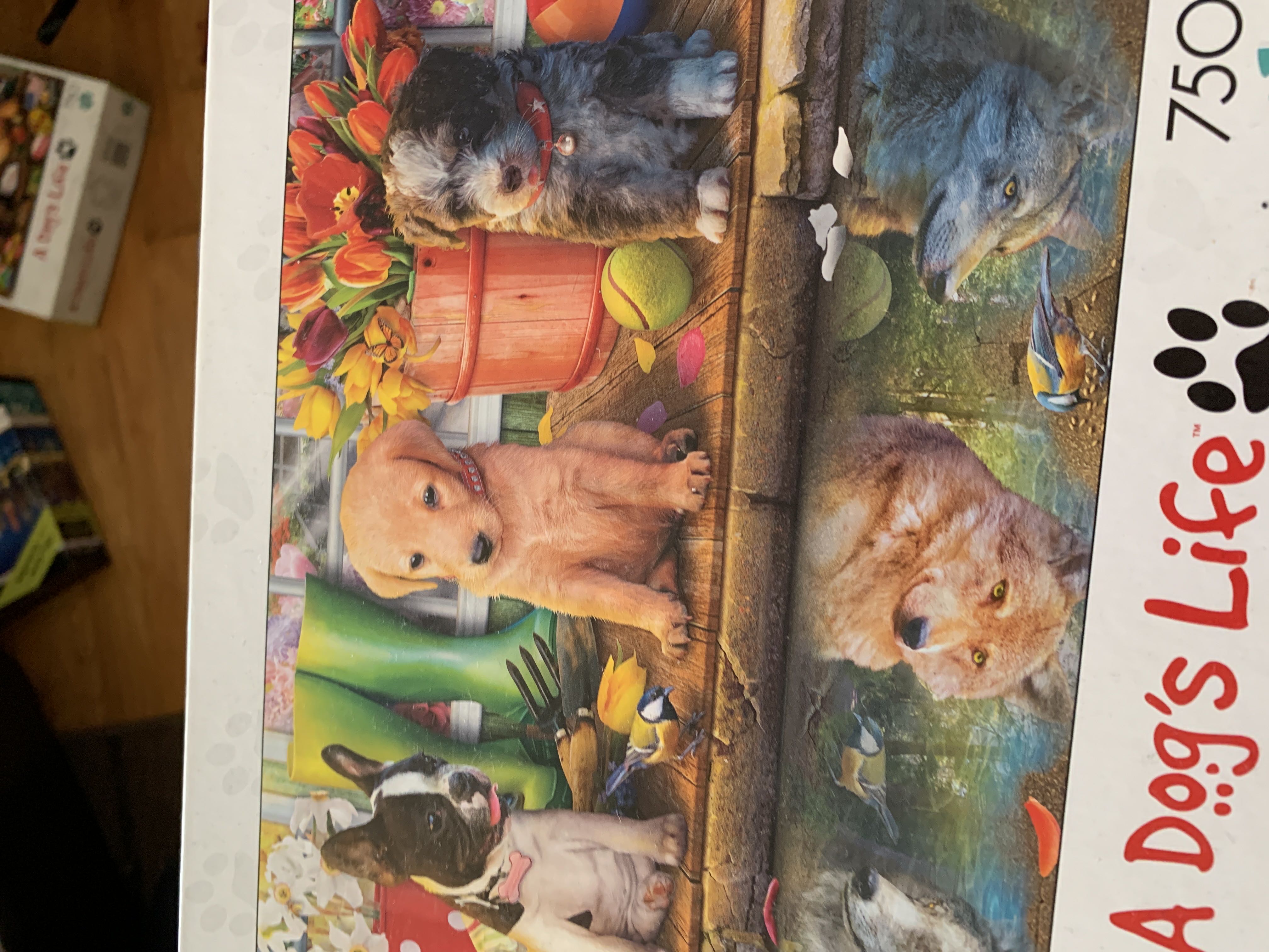 Vintage Frosted Flakes