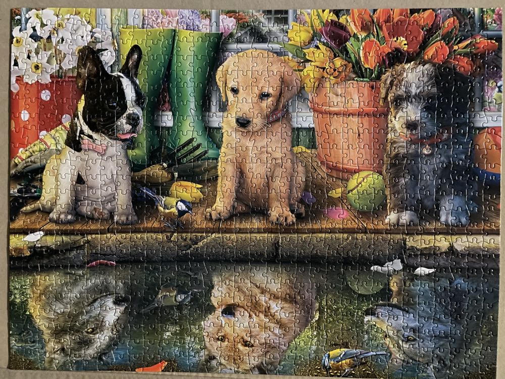 Dog Days - Puppy Dreams - Buffalo puzzle collectible [Barcode 079346173372] - Main Image 2