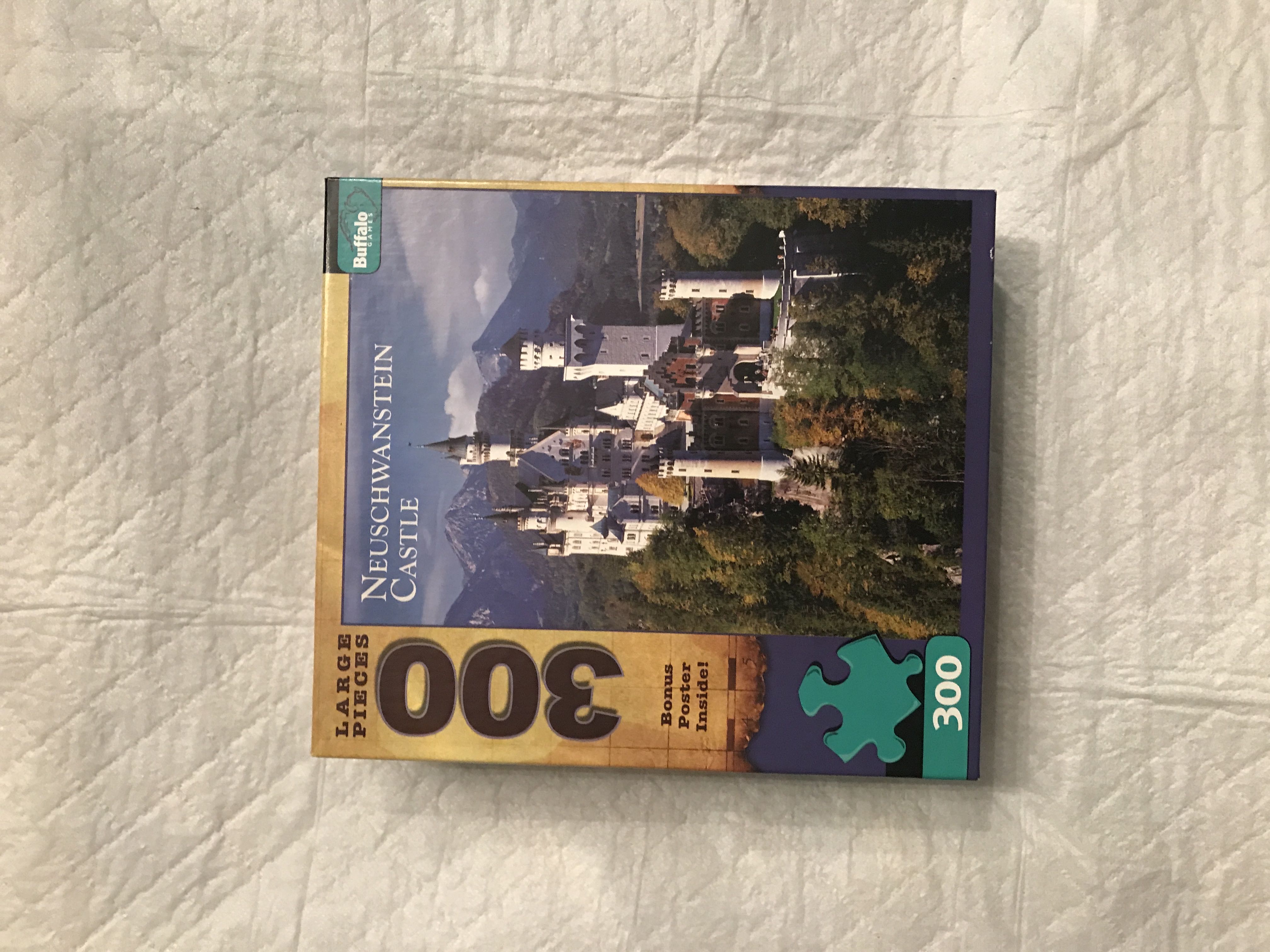 Minnesota Wild Panoramic