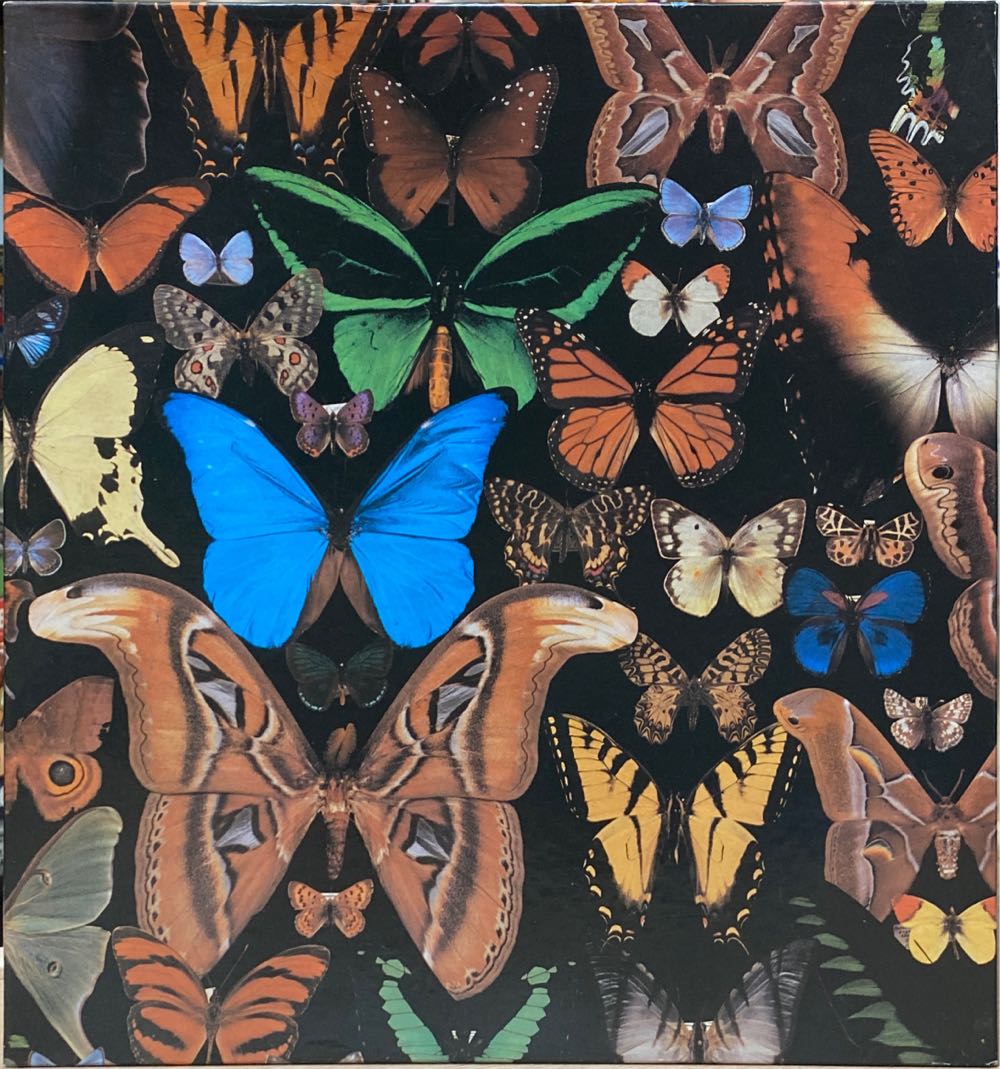 Butterflies - Hoyle puzzle collectible [Barcode 041187080225] - Main Image 2