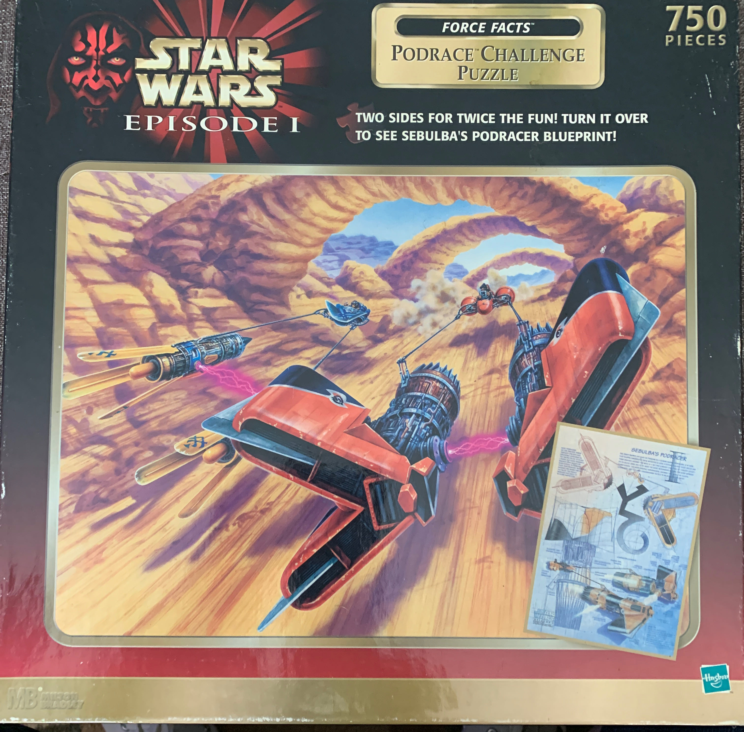 NICI - Family Gathering, The