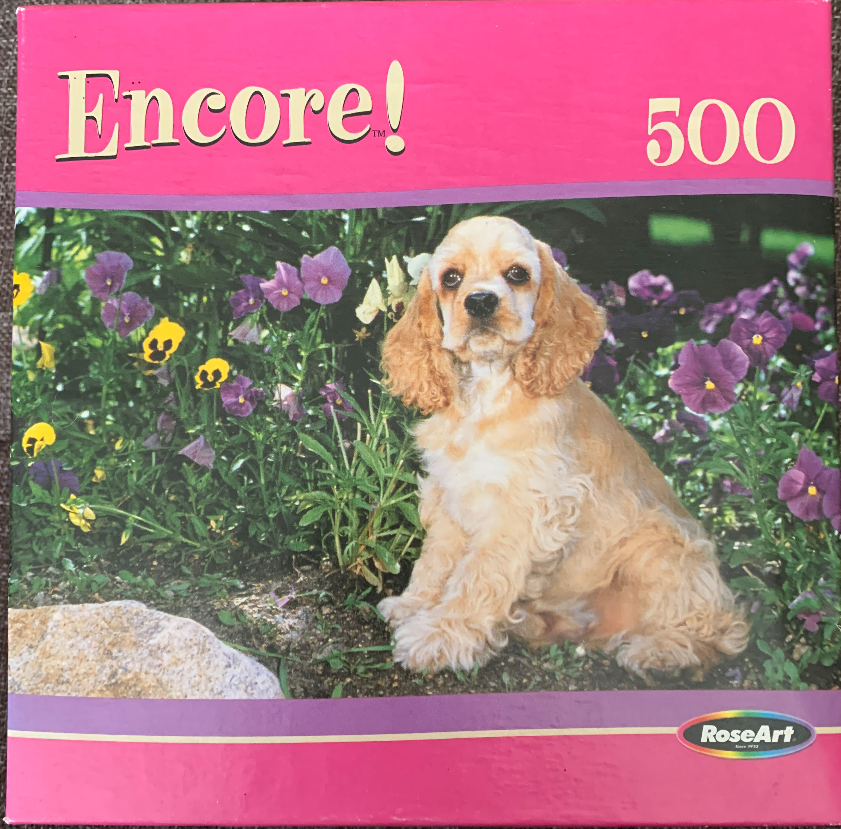 Colorful Fruit Rows: Cherries, Oranges, Apricots, Kiwi, Blueberries, And Plum