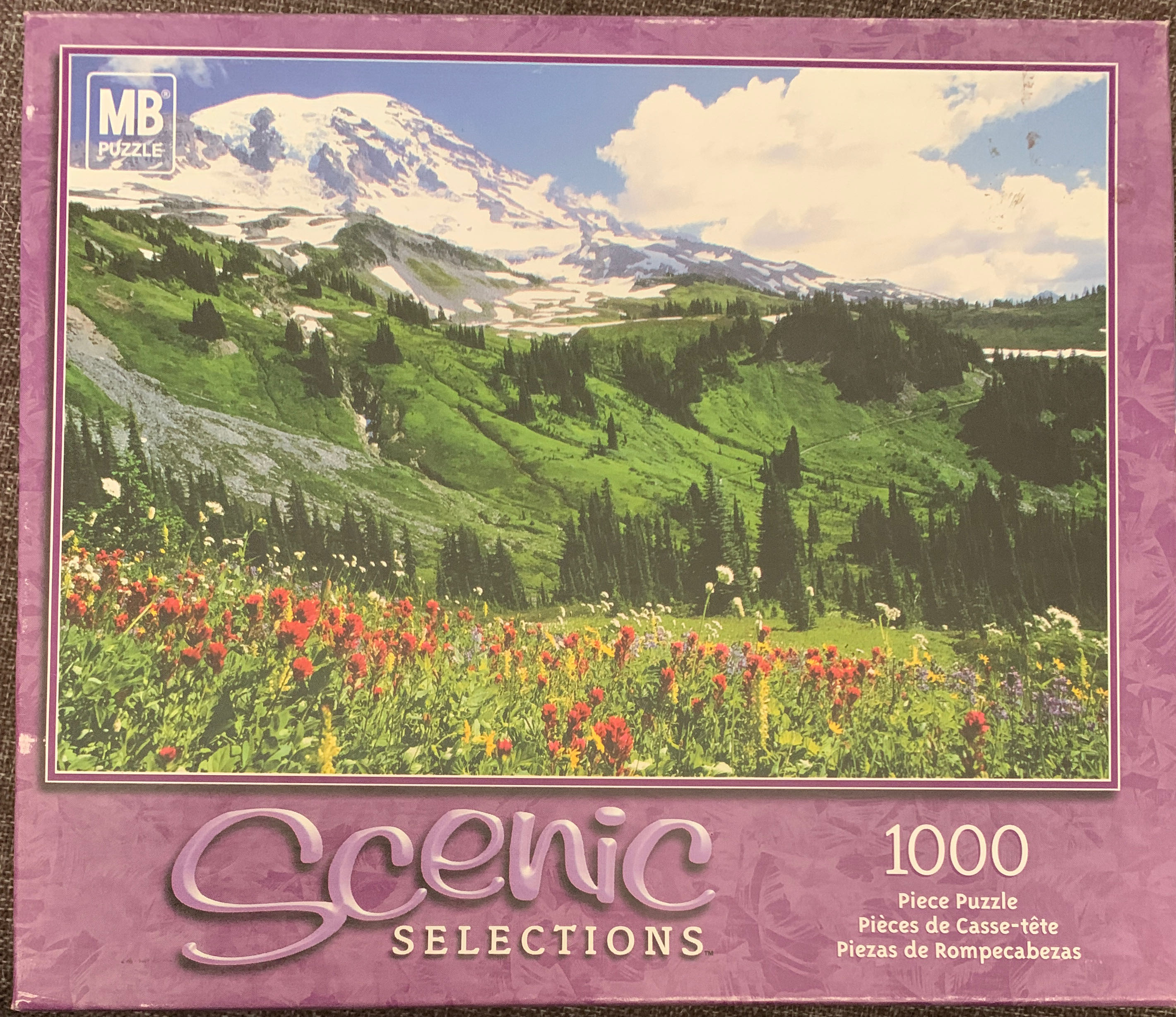 Thomas Kinkade Painter of Light 4