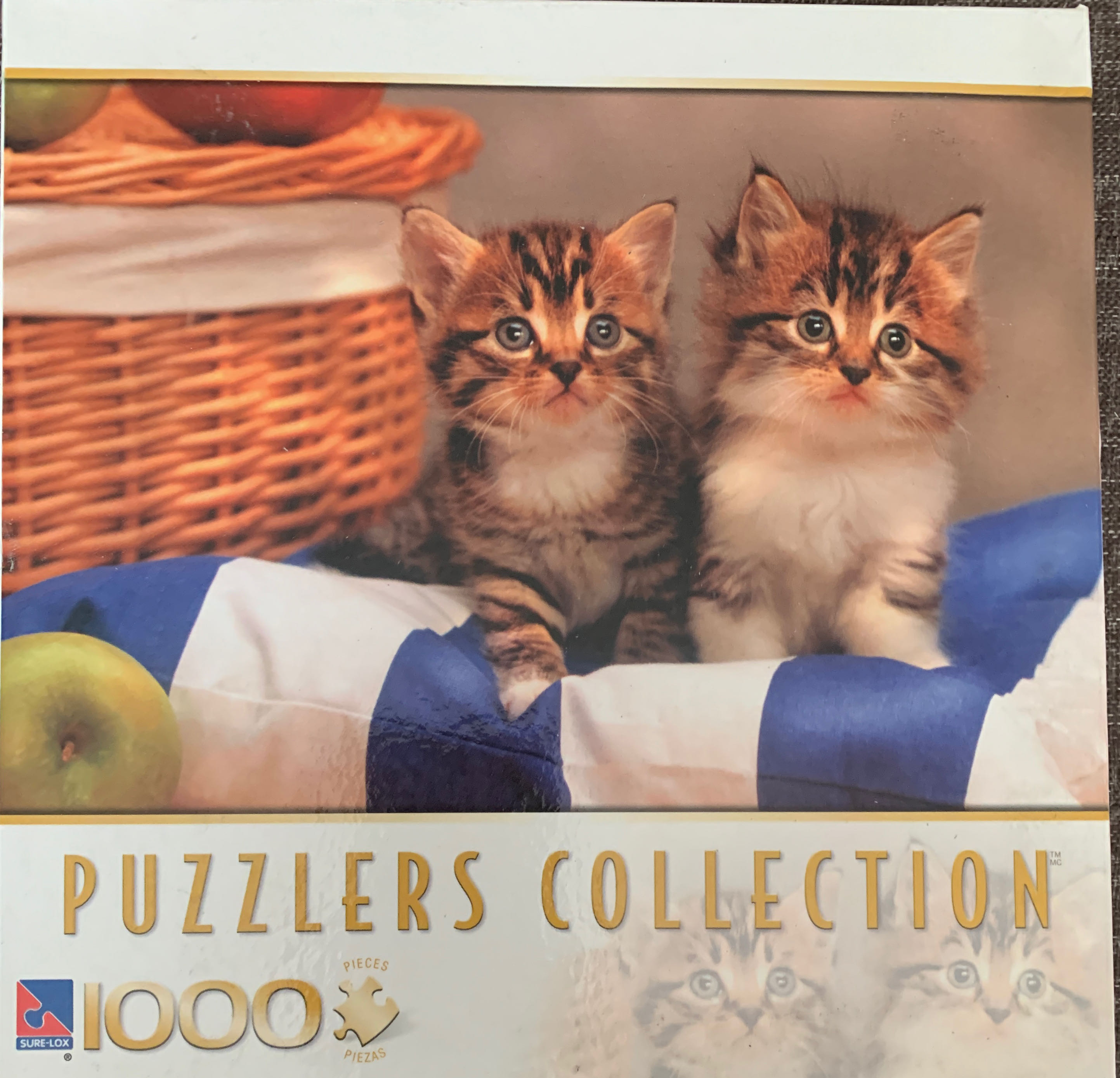 Rembrandt’s Studio | Gallery Of Curiosities