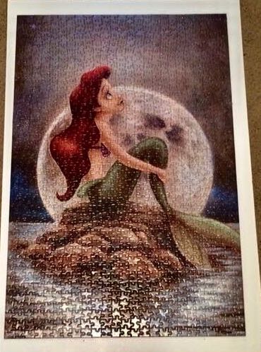 Hockey Championships🆕🚪