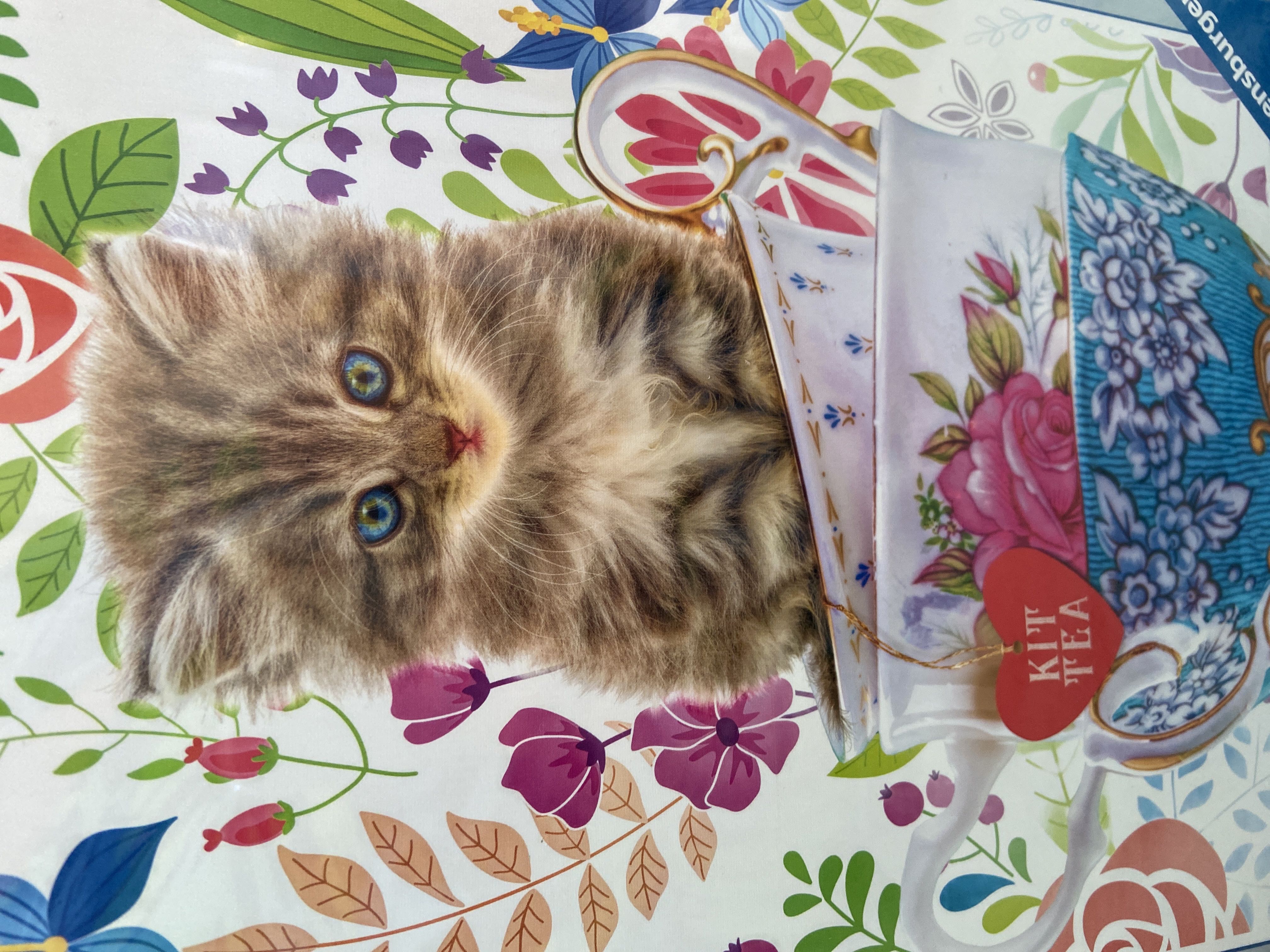 A Rocky Mountain Christmas