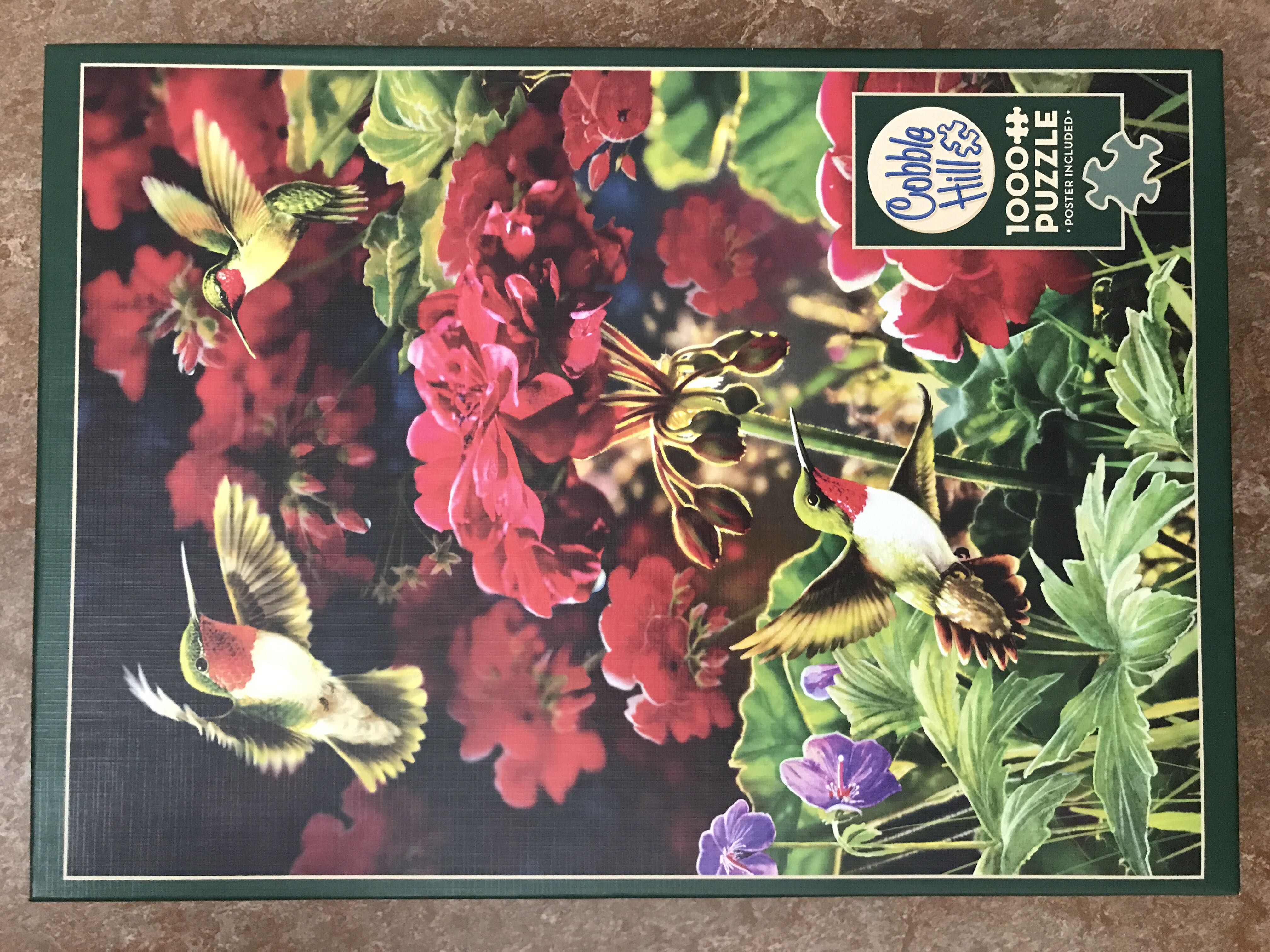 Minnesota Wild Panoramic