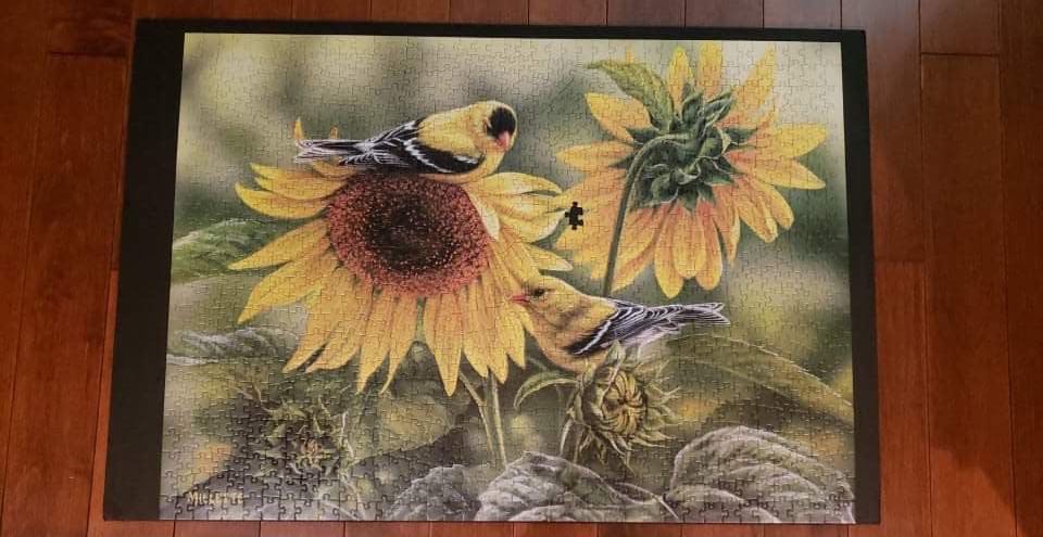 Sunflowers And Goldfinches - Cobble Hill puzzle collectible [Barcode 625012801157] - Main Image 2