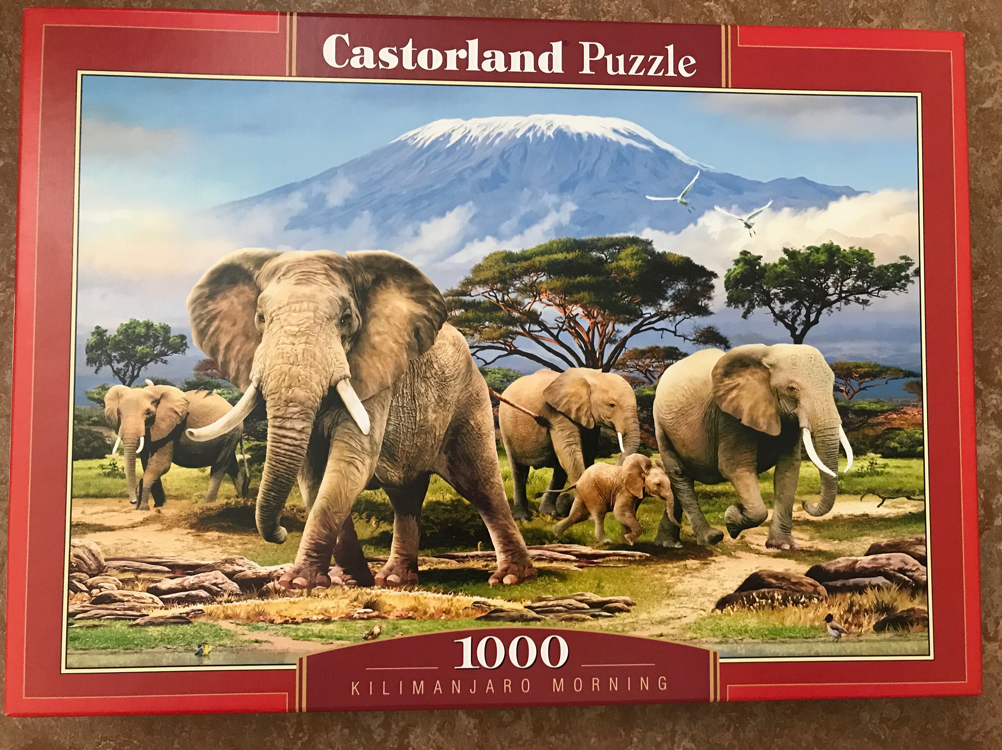 Mystical Meeting 21834