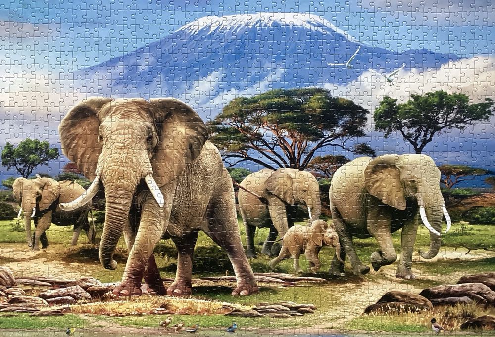 Kilimanjaro Morning - Castorland puzzle collectible [Barcode 5904438103188] - Main Image 2