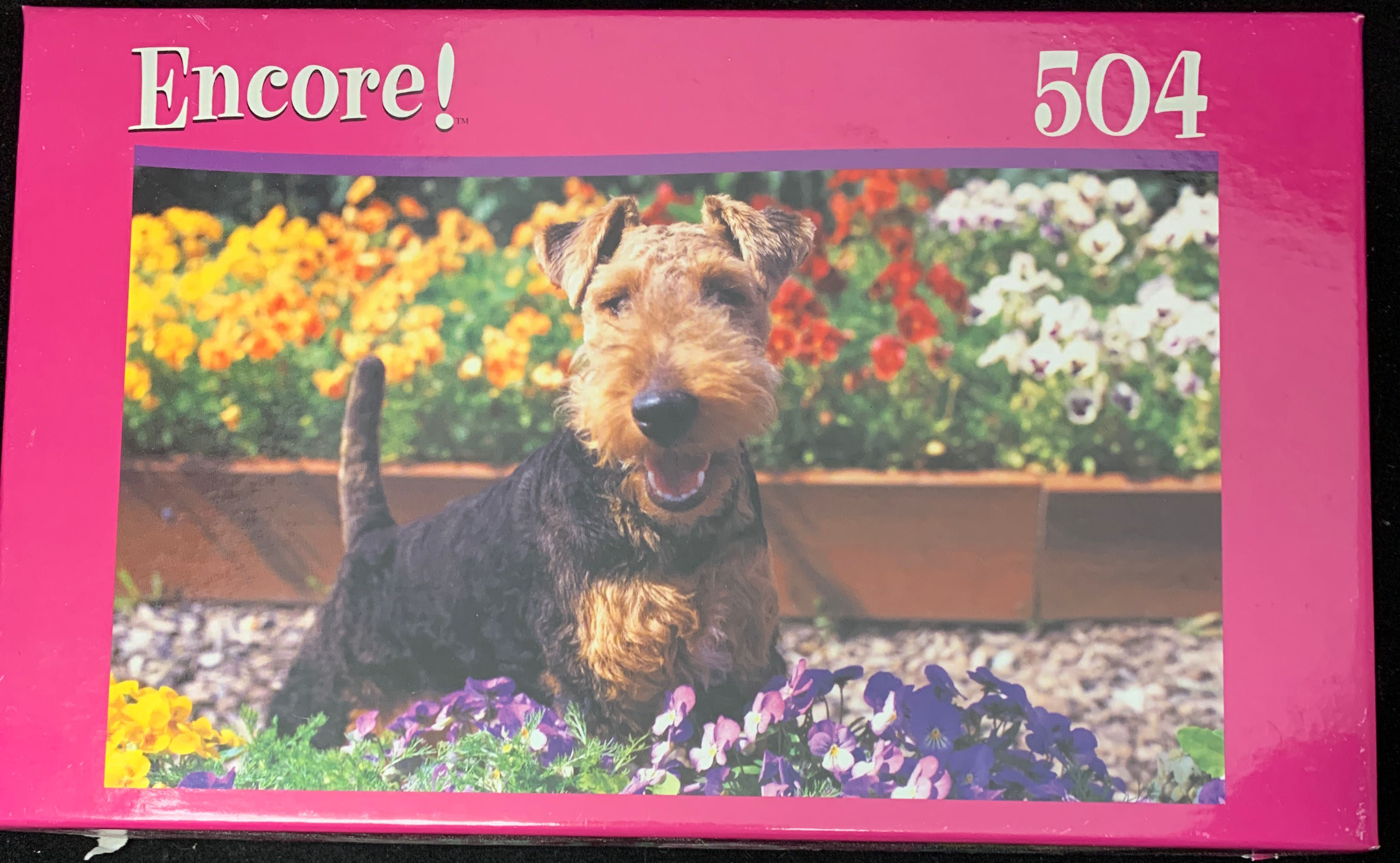 Aquarius: DC Harley Quinn