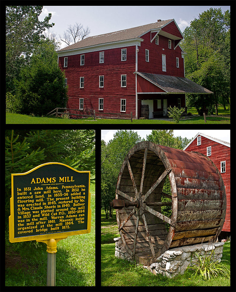 Teddy Bear Christmas Tree