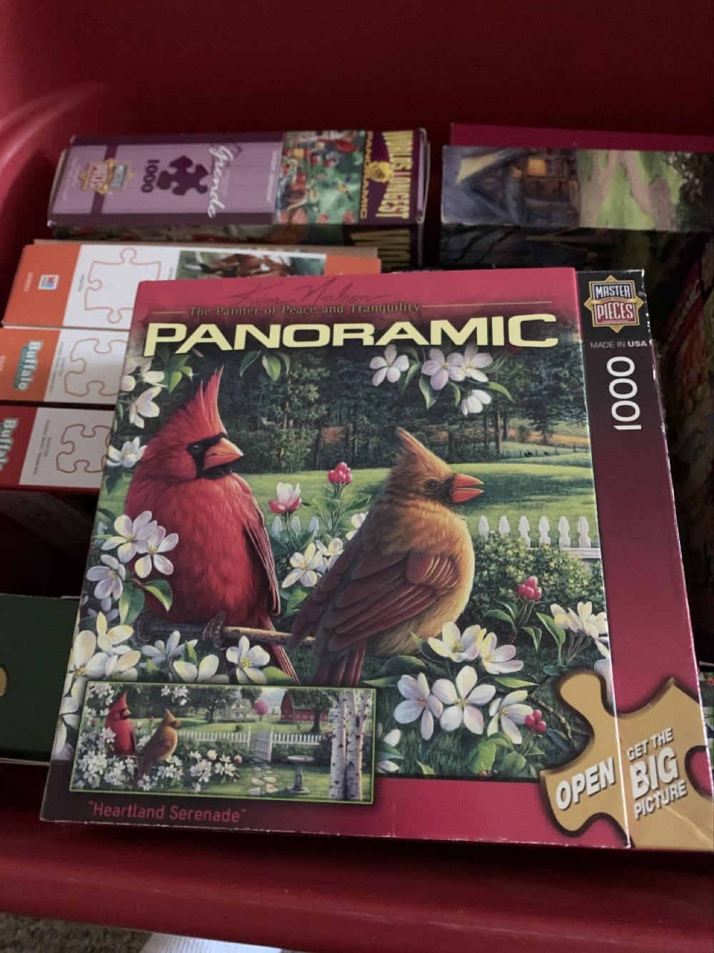 Platform Pandemonium 