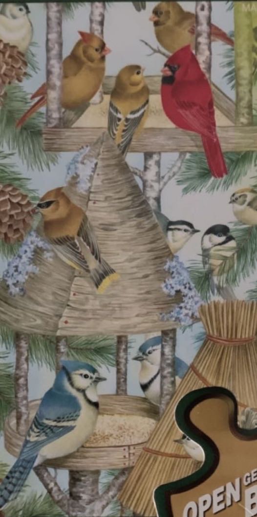 EV Bird Feeder Buffet 🐦 (📫Ella €2,50) - MasterPieces puzzle collectible [Barcode 705988309236] - Main Image 2