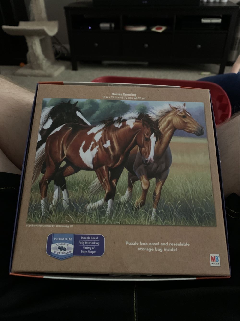 New Zealand and South Pacific Islands Map